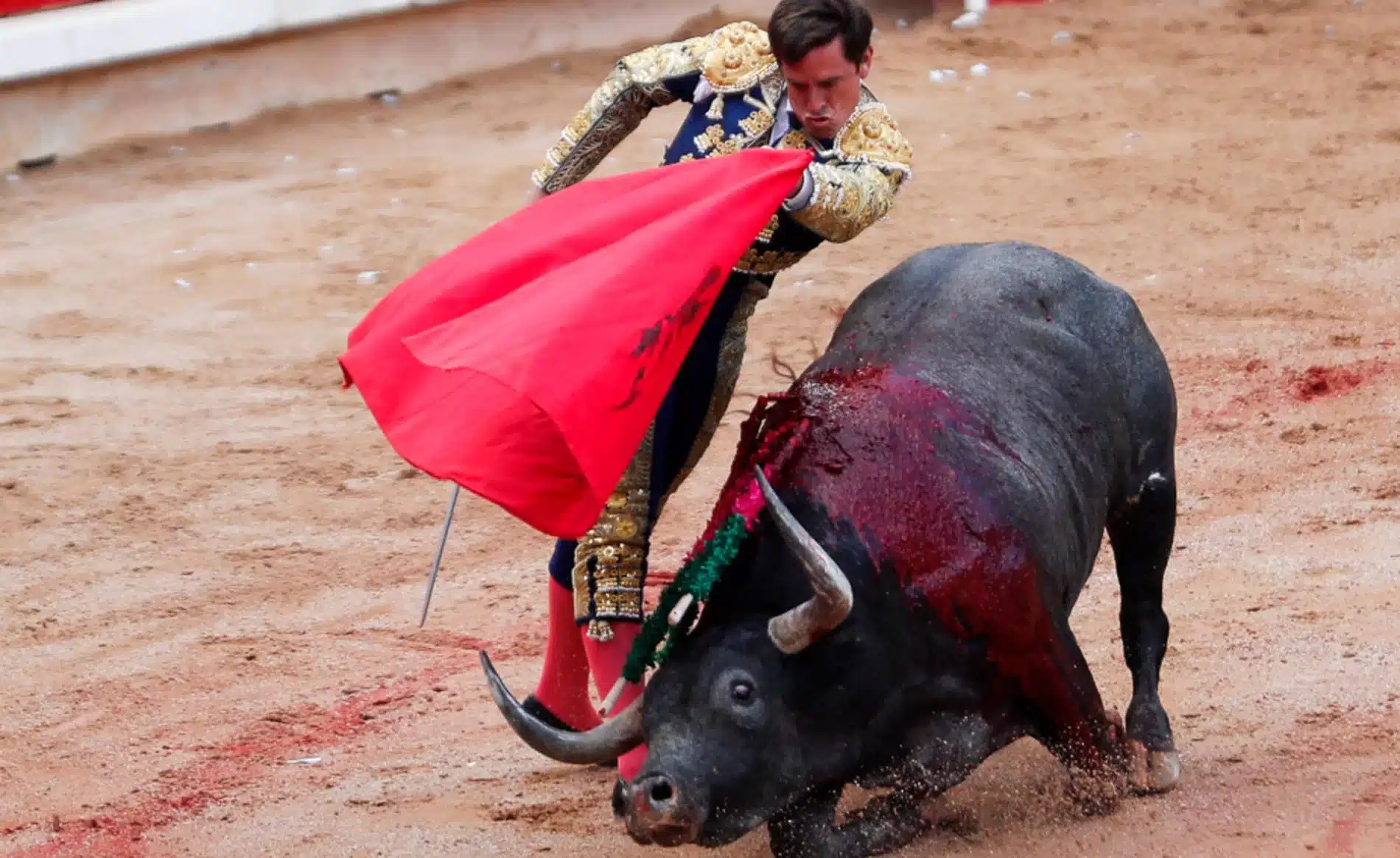  Corridas de toros volverán a Plaza México en CDMX, determina la Corte