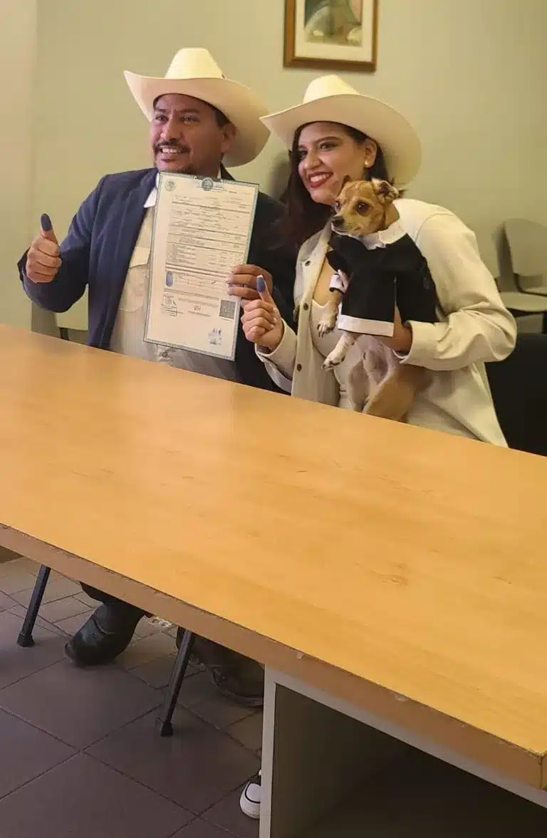 Un perro se convirtió en sensación&hellip;