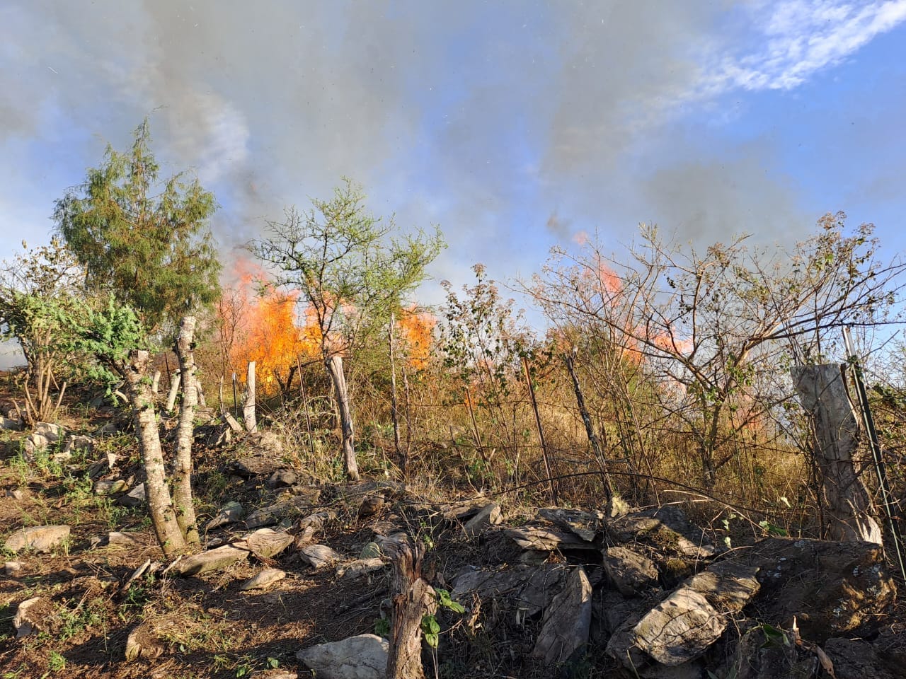 Incendio en Pinal de Amoles Exitosamente&hellip;
