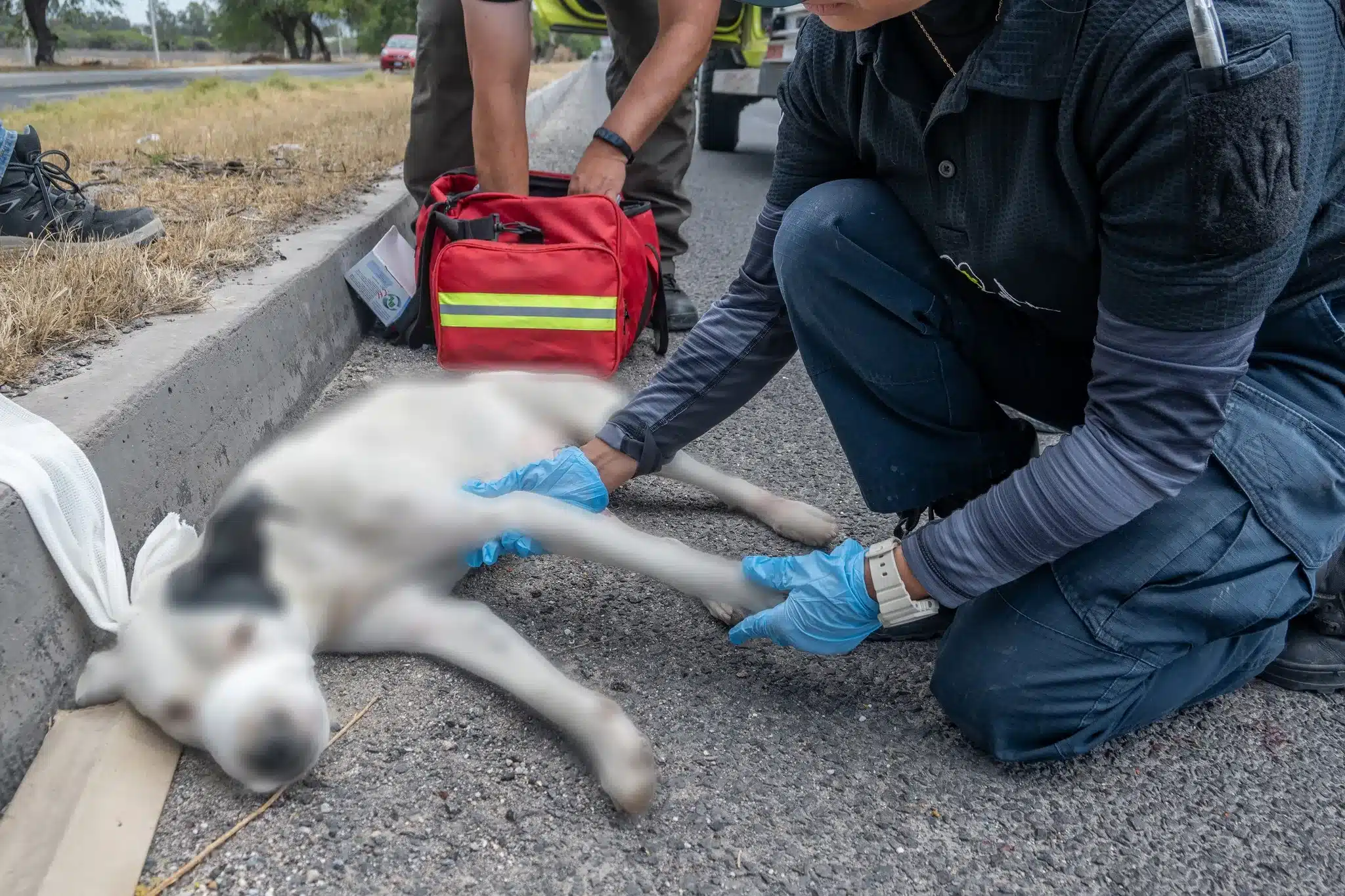 Personal de rescate y Protección Civil&hellip;