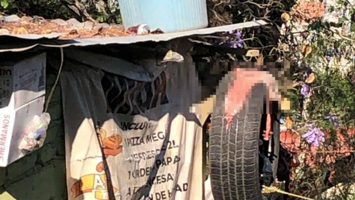 Urgen Acciones Contra Presunto “Destazador” de&hellip;