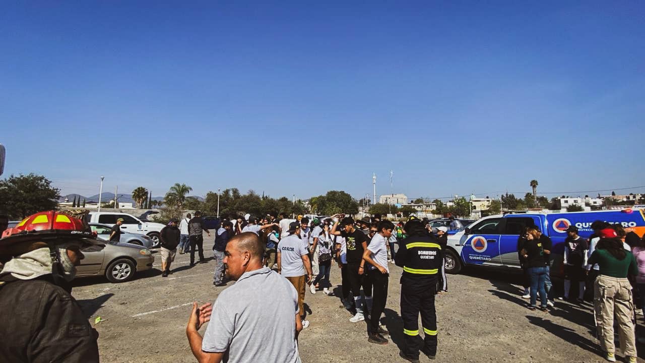 ¡Terror en el Parque Bicentenario! Enjambre de abejas ataca a 50 personas