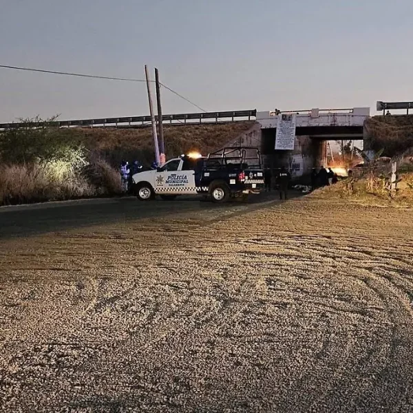 Encuentran cinco cuerpos colgados en un puente de&hellip;