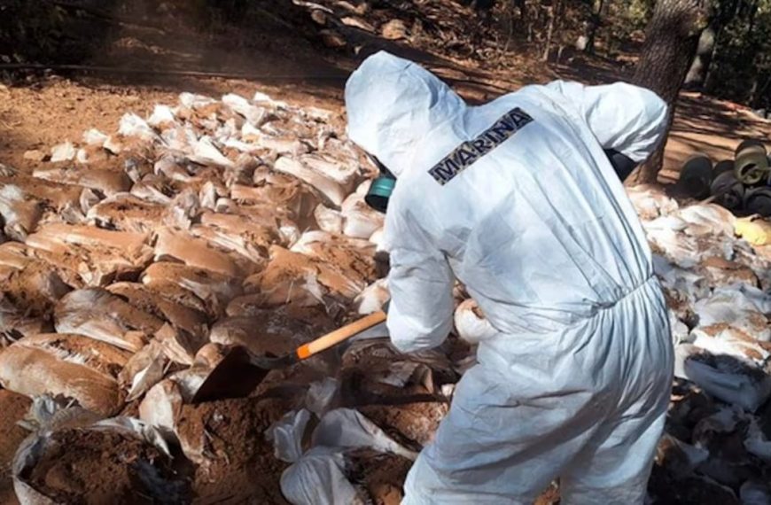 🚨 Desmantelan narcorancho en Zacatecas: decomisan…