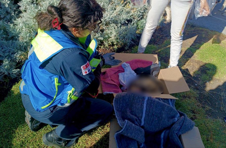 🦝 ¡Rescate milagroso en Juriquilla! Salvan…