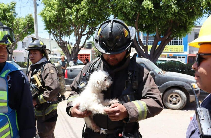 🔥¡INCENDIO EN LOS SAUCES! Casa se…