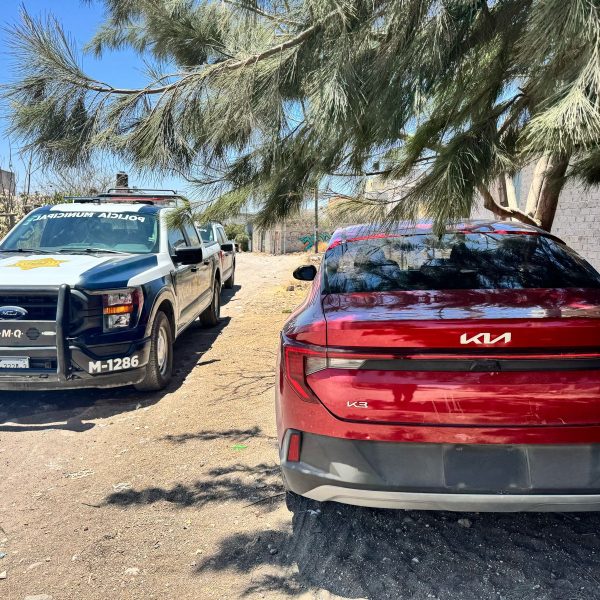 🚨 ¡Cae banda de robacoches! En solo 7…