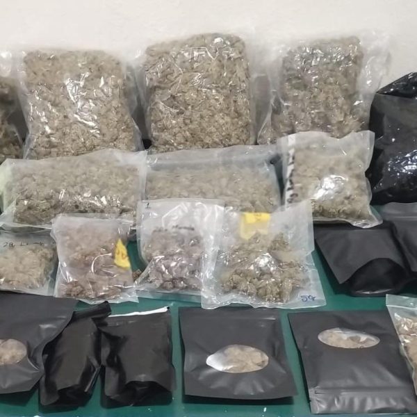 ¡Cae cargamento con droga y vapeadores en el…
