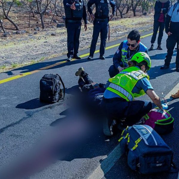 Guardia de seguridad es atropellado en Fray Junípero…