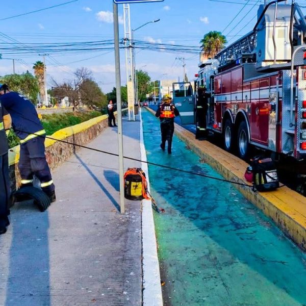 Caos en el centro de Querétaro: hombre cae…