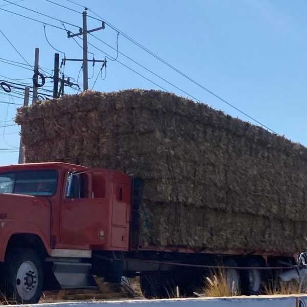 Fatal choque en Santa Rosa Jáuregui: auto se&hellip;
