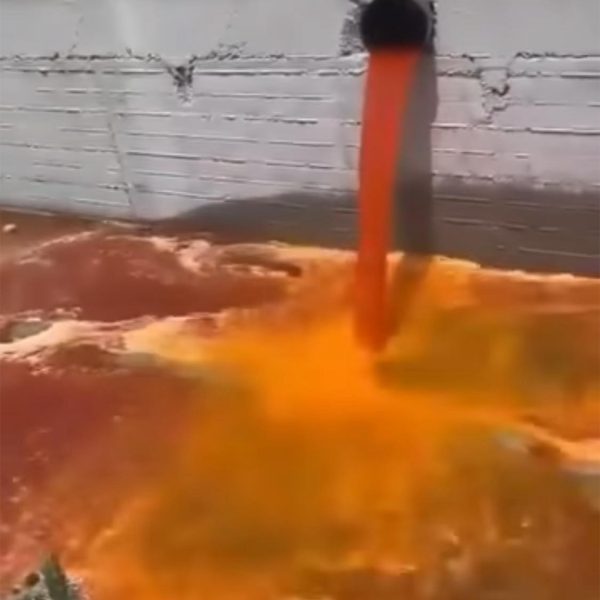 ¡Agua contaminada invade el Parque de las Garzas!&hellip;