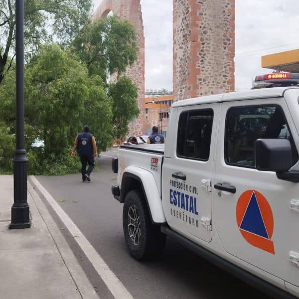 🌳 ¡Árbol cae sobre Calzada de Los Arcos…