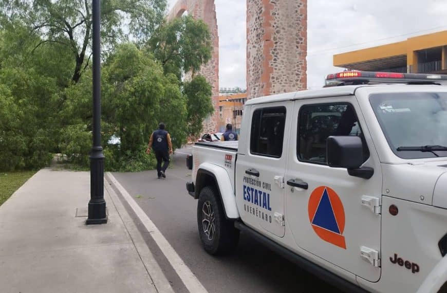 🌳 ¡Árbol cae sobre Calzada de…