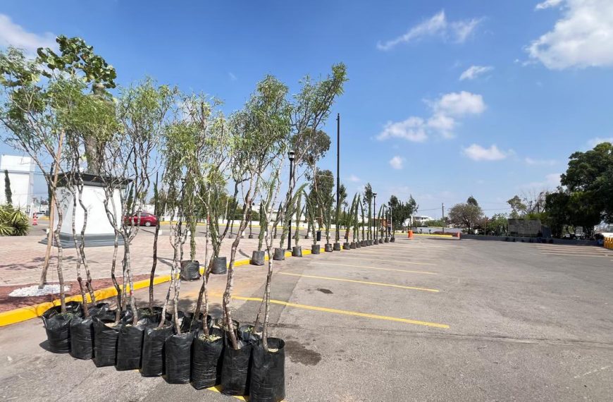 Querétaro apuesta por el futuro verde:…