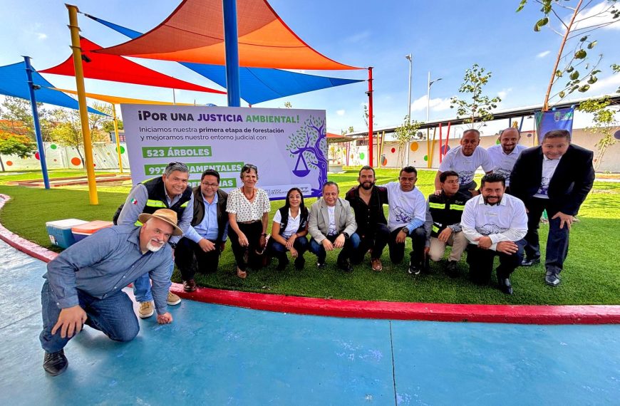 📰 REFORESTAN LA CIUDAD JUDICIAL DE…