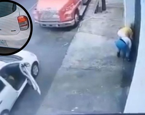 😡 ¡Asesinas de gatitos! Graban a dos mujeres…