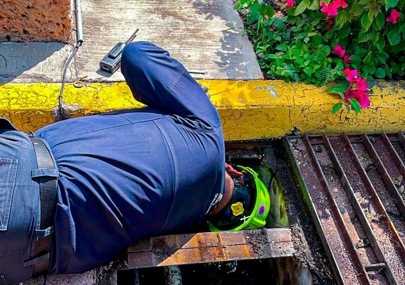 😱 ¡Quedó atrapado en una rejilla…