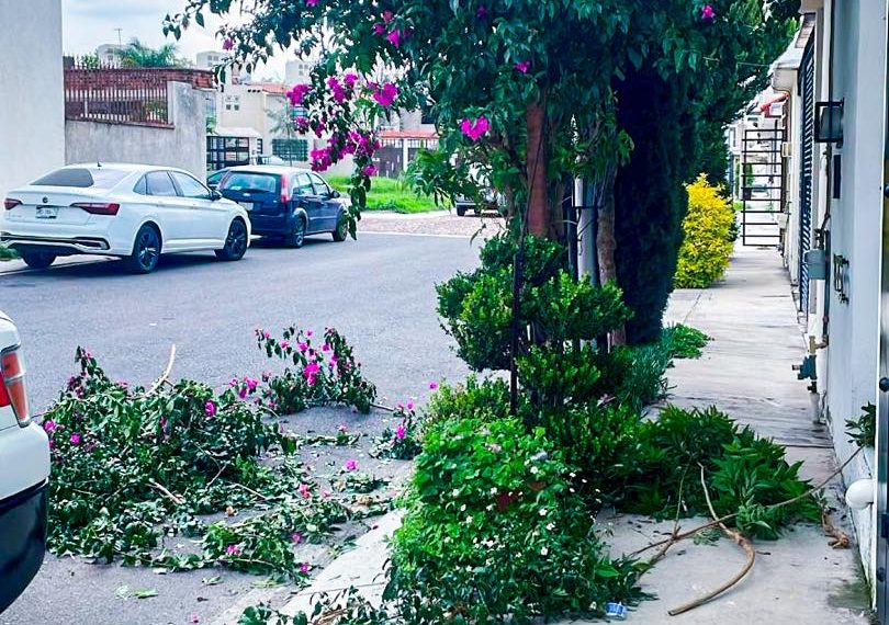 🔴🪚 Hombre sufre amputación de dos…