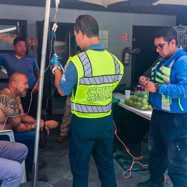 🐝 Hombre sufre ataque de abejas en Viveros&hellip;