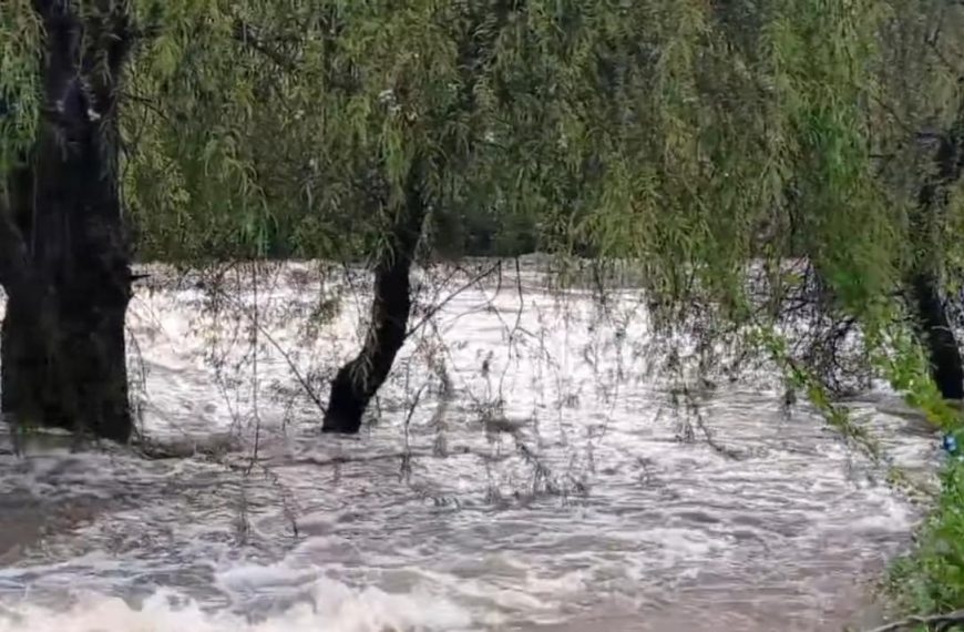 😱🚨 ¡Tragedia en Tolimán! Niño de 7 años…