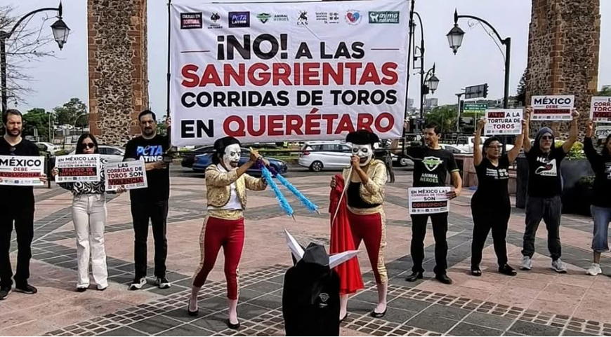 📰 Piden incluir la tauromaquia en iniciativa de…