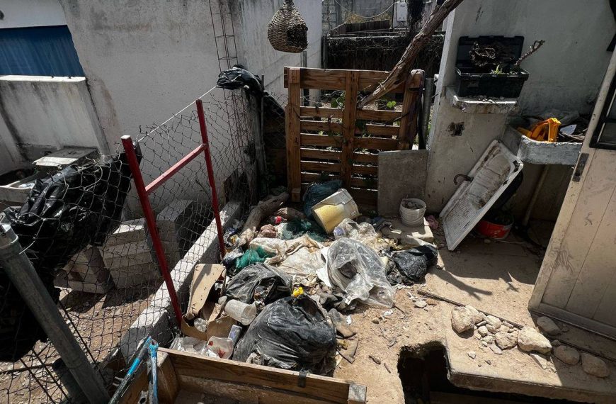 🐶🚨 Ocho perritos vivían en abandono…
