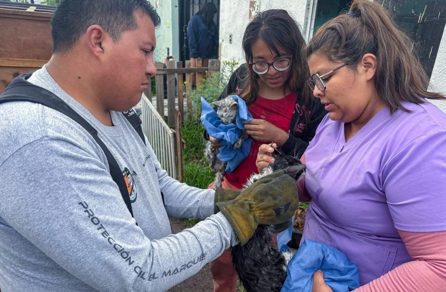 🔥🚨 Incendio en Paseos del Marqués:…
