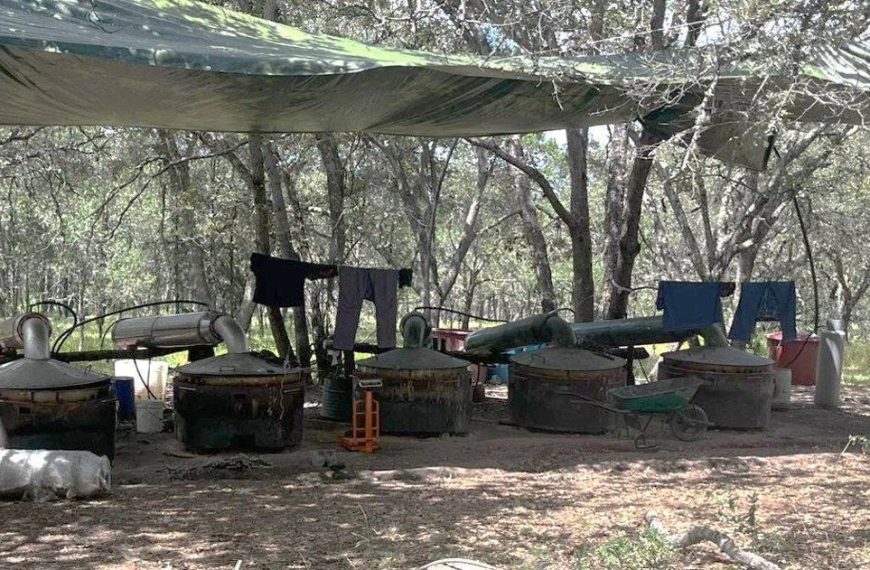 😱🚨 Narcolaboratorio en los límites de…