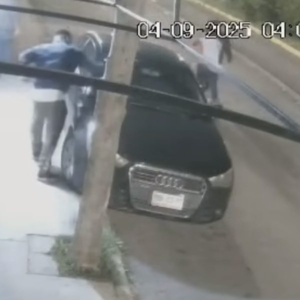 🚨😡 Ola de vandalismo en Querétaro: jóvenes dañan…