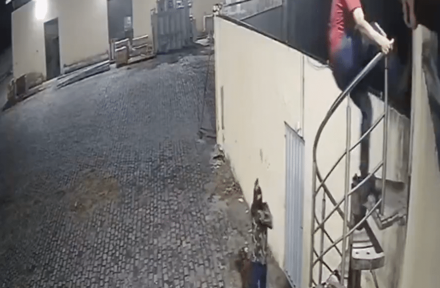 💀 ¡Se toparon con la muerte!…