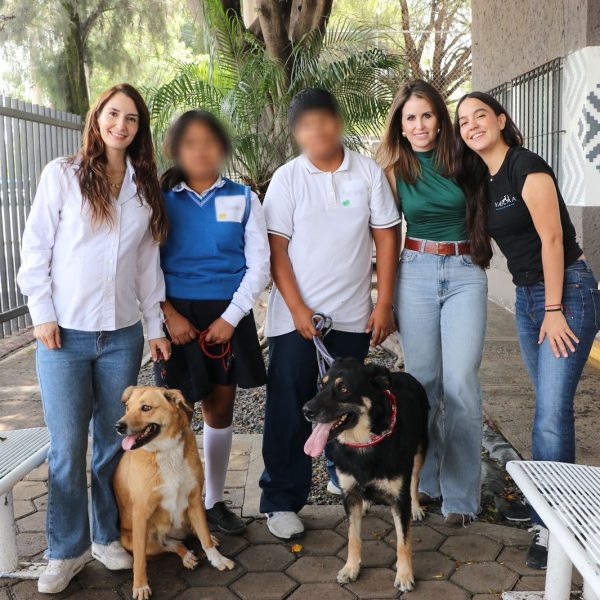 🐾👩‍👦 Adolescentes del DIF entrenarán a perros rescatados…