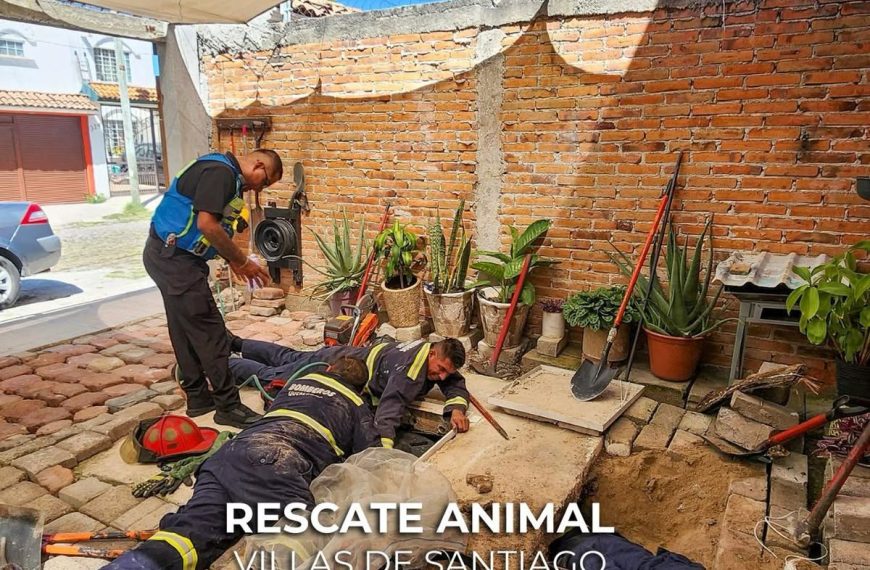 🐾🚨 ¡Rescate con final feliz en…