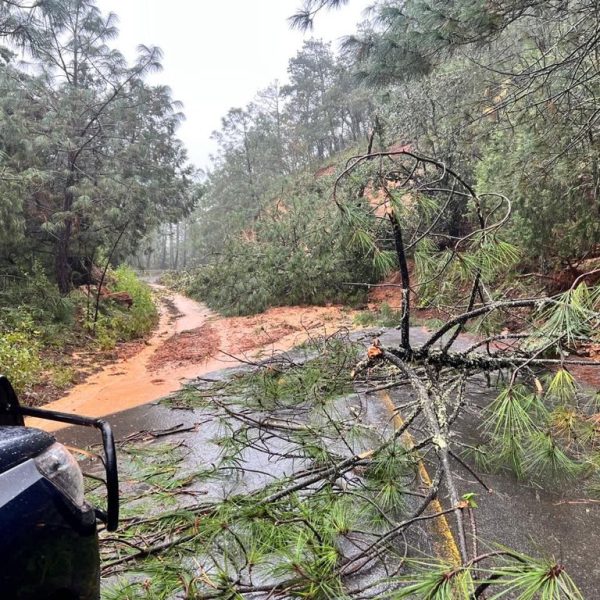 🌧️ Fuertes lluvias provocan deslaves y bloquean carreteras…
