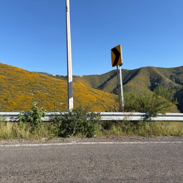 Los cerros del camino a la Sierra Gorda…