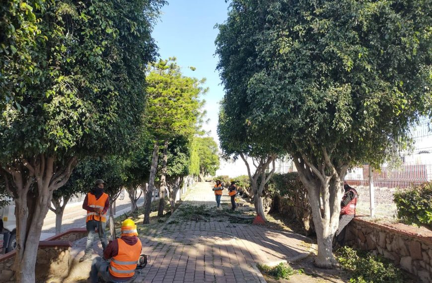 🚨🌳 Municipio admite que no puede…