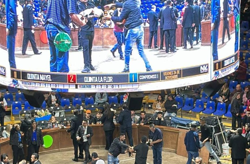 🎤 ¡Adiós a las peleas de…