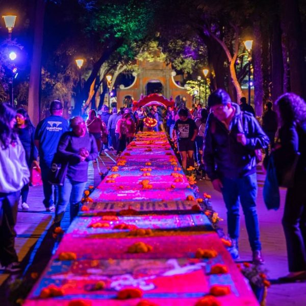 🎬💀 ¡Querétaro brilló con alma y cine! Más…