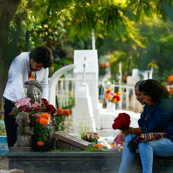 🌼 Más de 200 mil queretanos visitaron los…