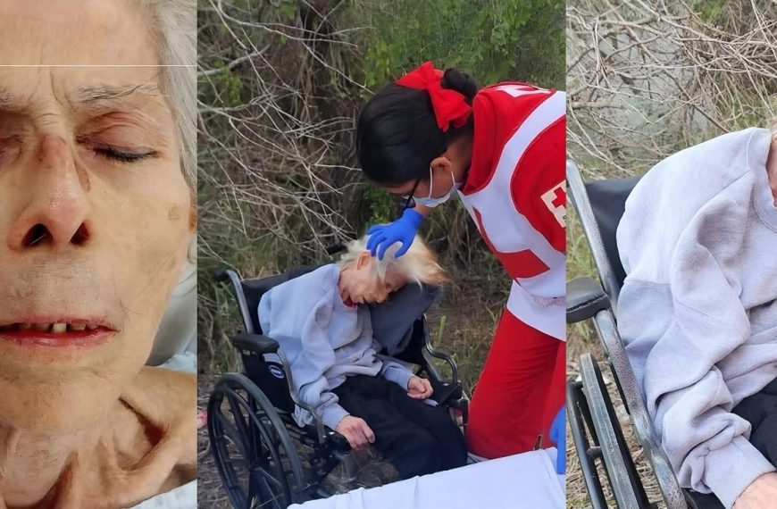 😱🚨 ¡HORROR EN MATAMOROS! ABUELITA DE&hellip;