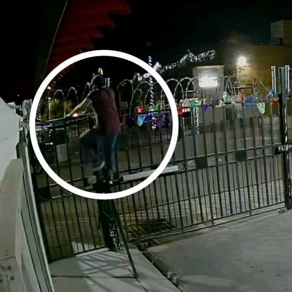 🔔Detectan banda dedicada al robo de adornos navideños&hellip;