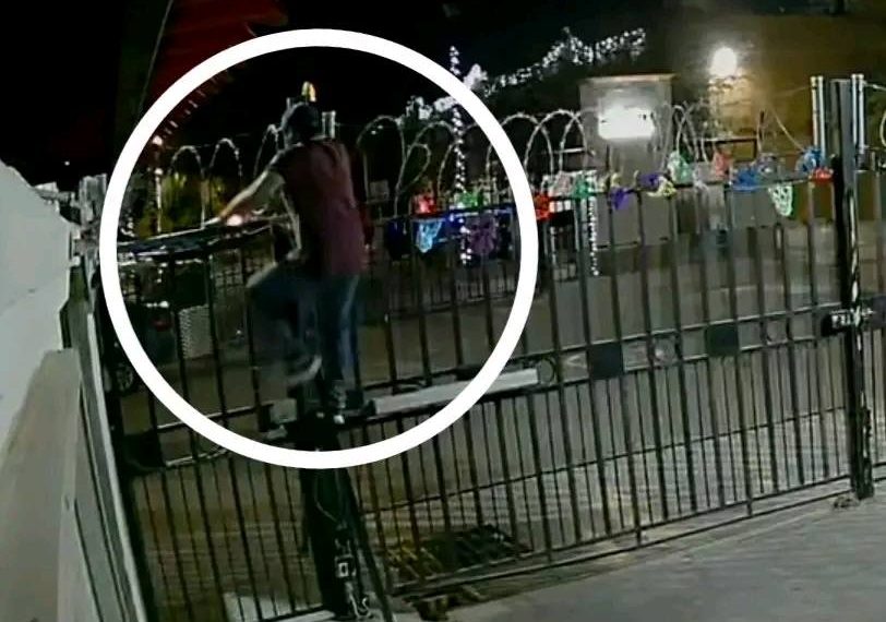 🔔Detectan banda dedicada al robo de…