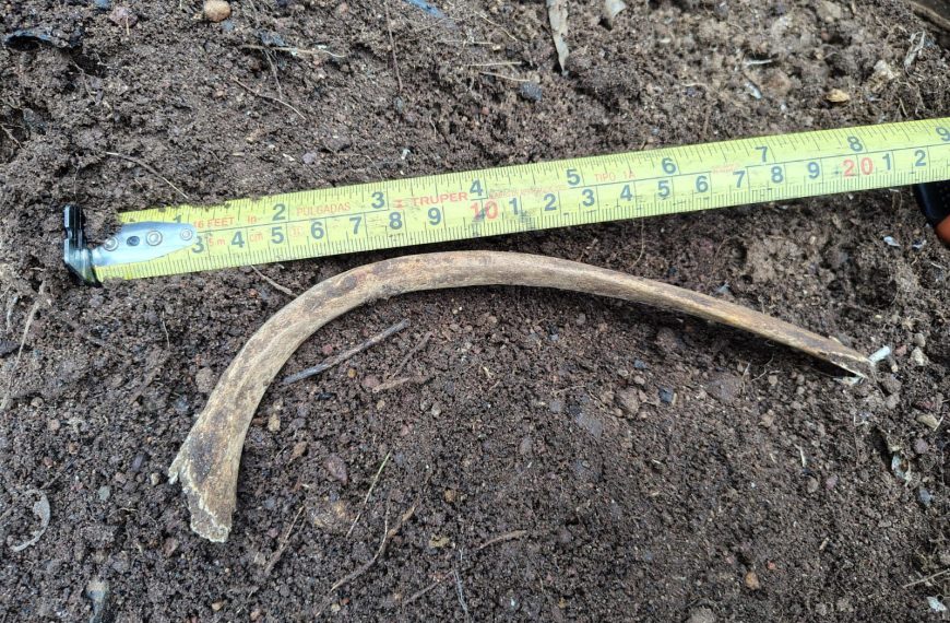 🚨 Desaparecidos Querétaro localiza nuevos restos&hellip;