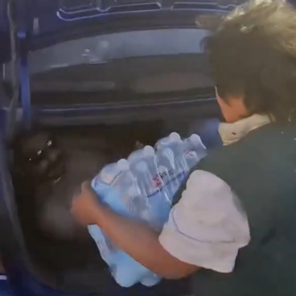 🚨📱 Cuando la violencia se vuelve broma: el&hellip;