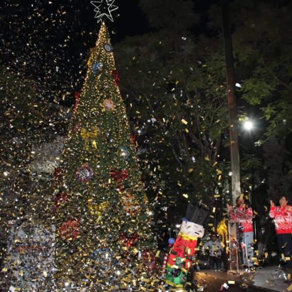 🎄✨ IMSS Querétaro enciende su árbol navideño y&hellip;