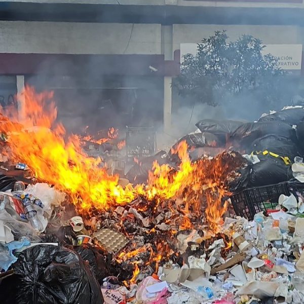 🚨🔥🗑️ Trabajadores de limpia protestan en CDMX, vacían&hellip;