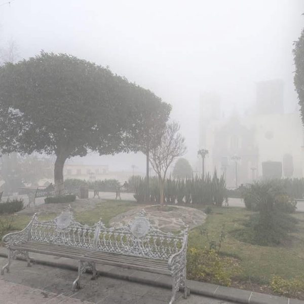 ❄️🌙 Querétaro despedirá el 2025 con frío: temperaturas&hellip;