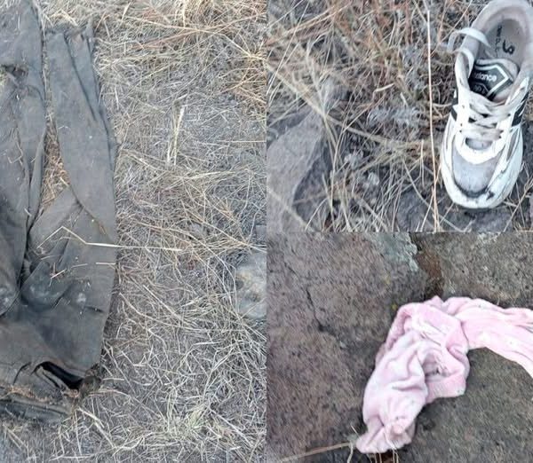 🚨🕊️⚠️ Colectivo Luz y Justicia localiza cuerpos de&hellip;