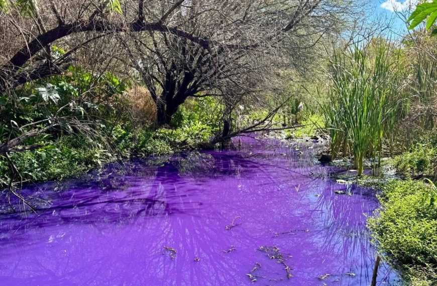 🚨🎨💧 Alerta ambiental en Santa Rosa&hellip;