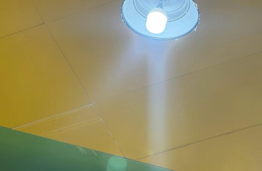 🚨🐦🍽️ Palomas invaden la zona de&hellip;